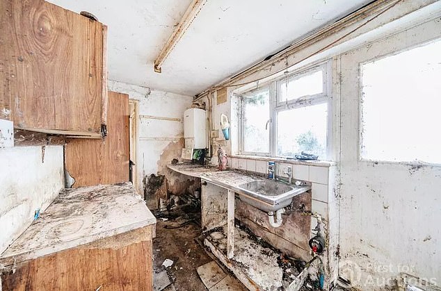 All that remains of the kitchen facilities (pictured) are a boiler and a worse-for-wear sink - with a hob or washing machine nowhere to be seen