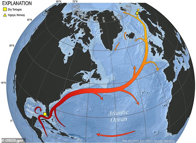 The Gulf Steam: This warm, swift current starts in the Gulf of Mexico, flows through the straits of Florida and toward North Carolina, then turns eastward as it moves toward northwestern Europe