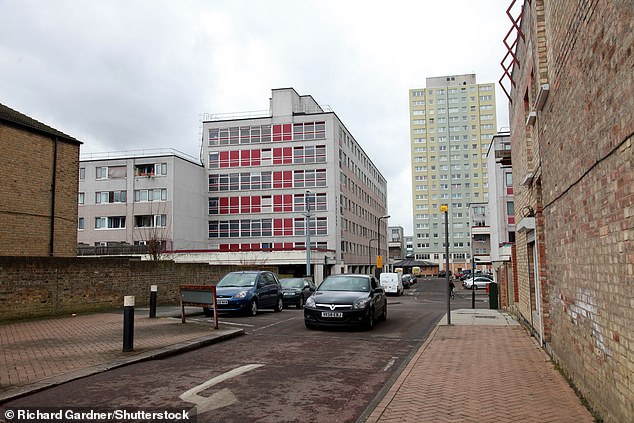 When the man was confronted and asked to leave by a member of the crew, he allegedly pulled out a knife (pictured: Broadwater Farm Estate in Tottenham)