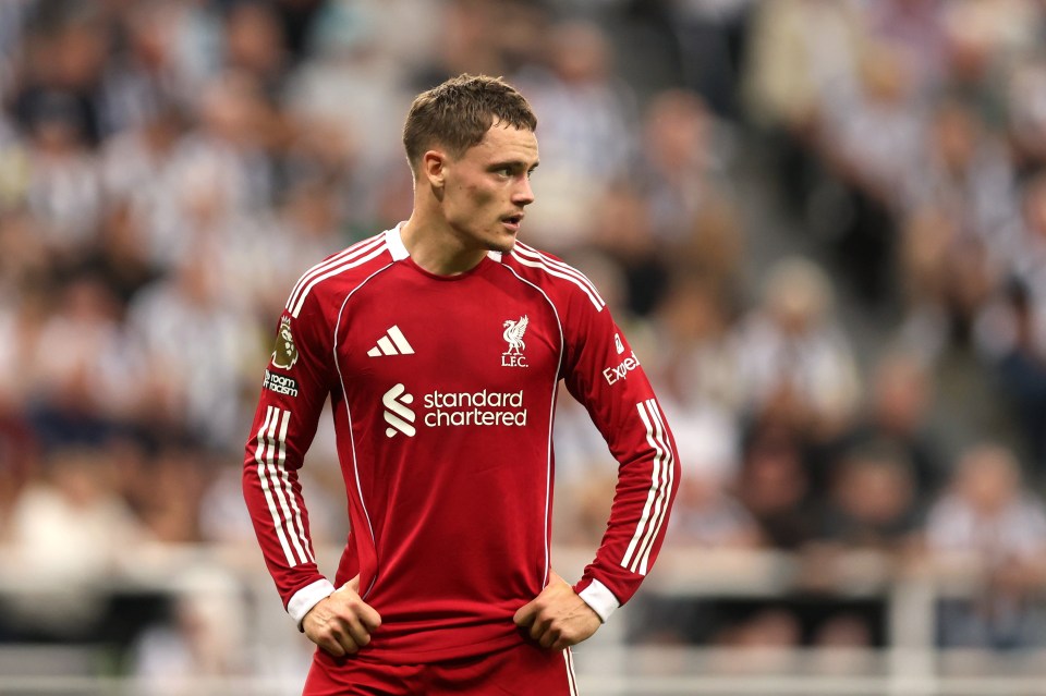 Florian Wirtz of Liverpool during a Premier League match.