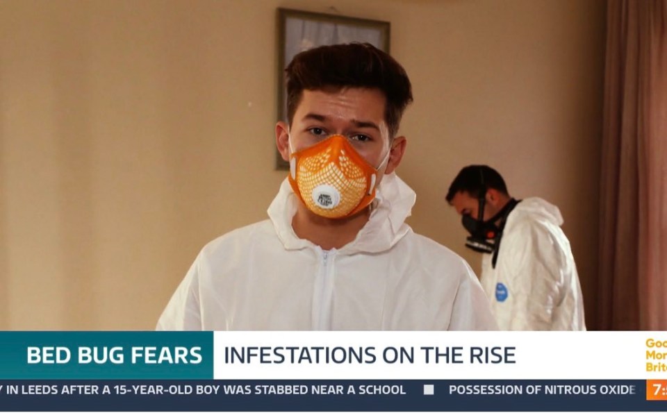 Pest control workers in protective suits treating a bed bug infestation.