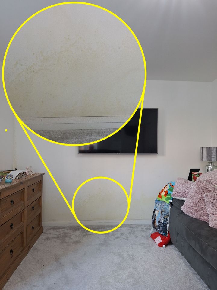 Damp walls and ceiling in a living room.