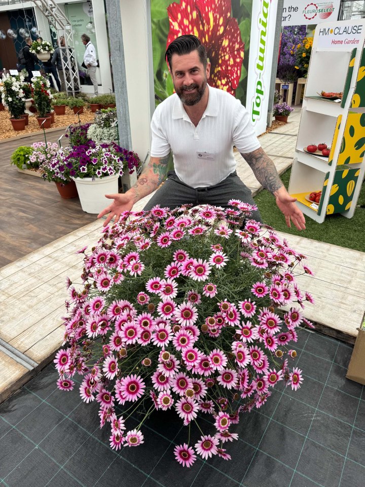 Man displaying a large pot of pink flowers.
