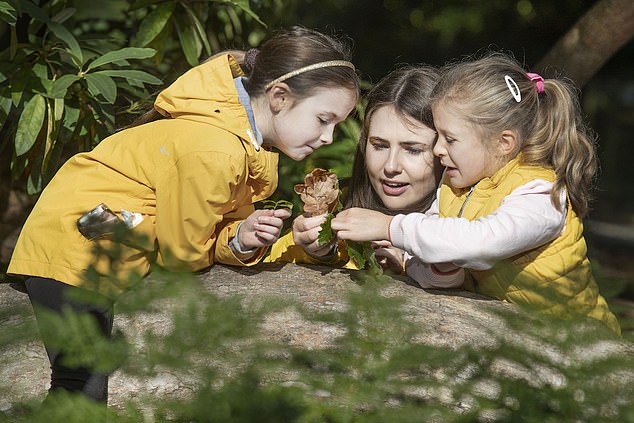He believes having a pond and a 'swift brick' bird box – a small box specifically built for nesting swifts – will turn the 'heads and hearts' of children alongside the launch of a natural history GCSE. Pictured: File photo
