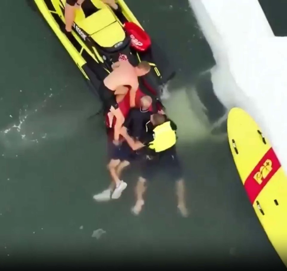 Rescuers pulling a pilot from a submerged plane.