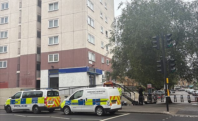 The post on X, which had over 200k views within half an hour claimed: 'An attempted mass shooter has been arrested near Stamford Bridge after the Chelsea game.' Pictured: Police vans and forensic services at the scene