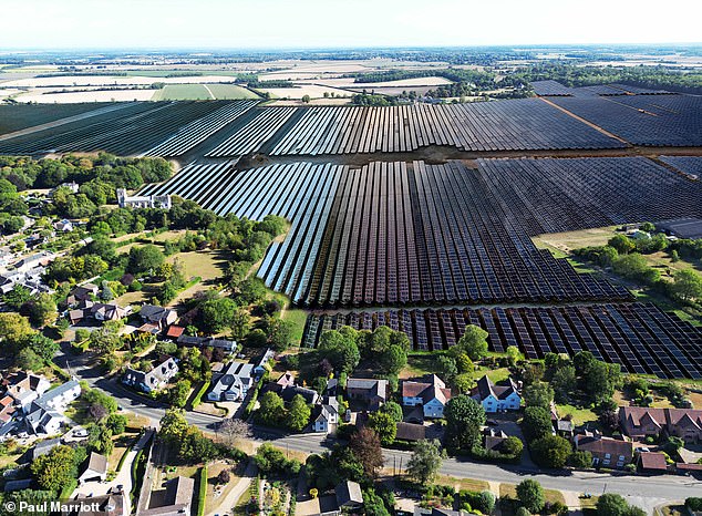 Pictured: a mock up of a huge solar farm set to be built in West Wratting
