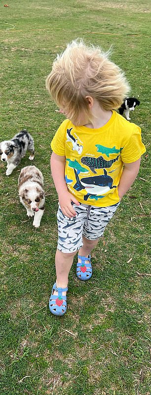 Wilf was pictured with his hand in his pocket while walking the family dogs looking the spitting image of Boris who was likewise photographed while attending the thanksgiving service for the 80th anniversary of VE day in May.