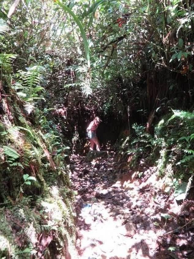 The hike should have taken roughly three hours to complete but the pair had still not returned by nightfall