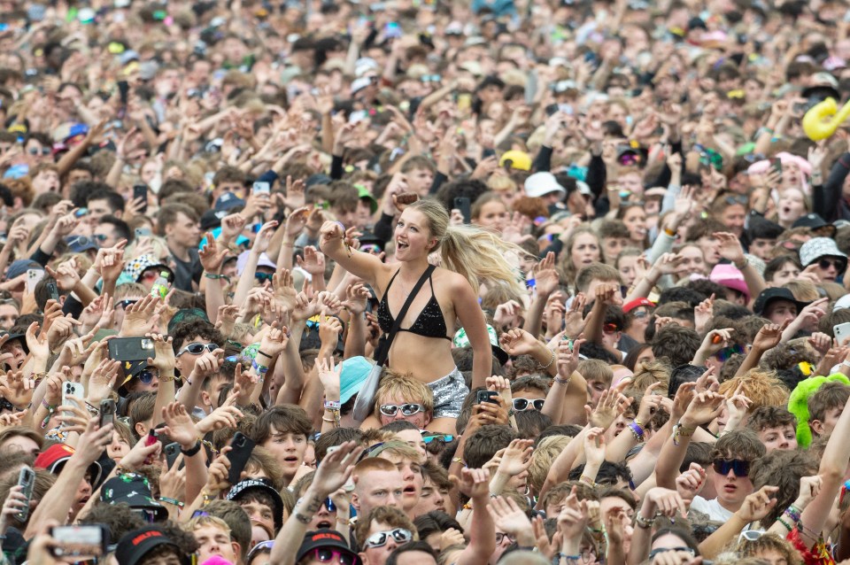 Large crowd at a music festival.