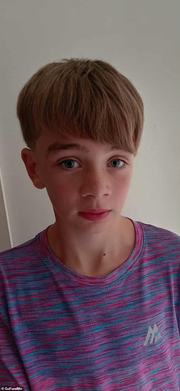 A fundraiser set up in Logan's memory has already raised more than £8,000 towards a £13,000 target