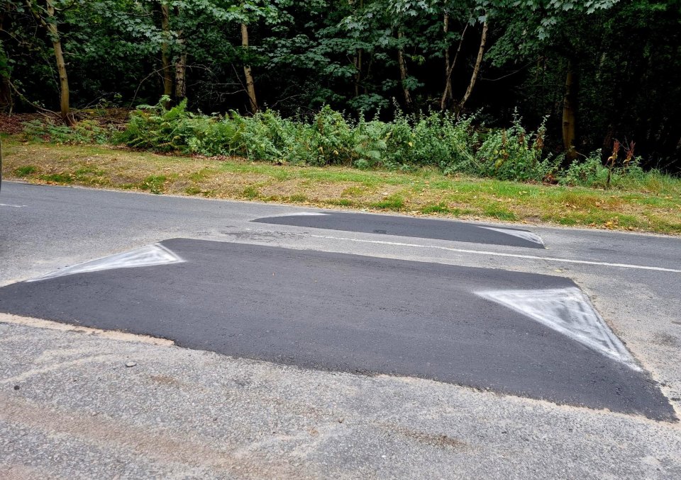 Two short speed bumps on a road.