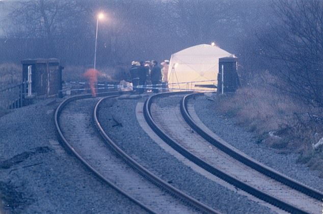 James Bulger's body was found on a railway track (pictured) some two days after his abduction. A pathologist found he had 42 injuries, and that it was impossible to rule which one killed him