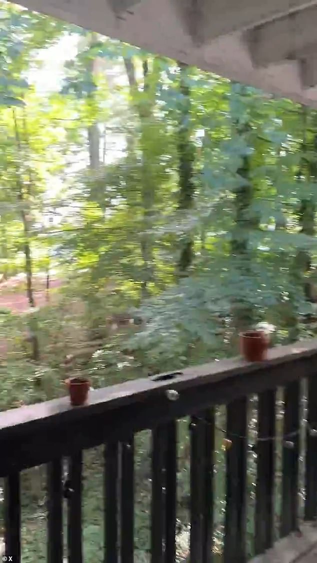 Pictured: A student at his apartment near campus recorded a video and gunshots were audible