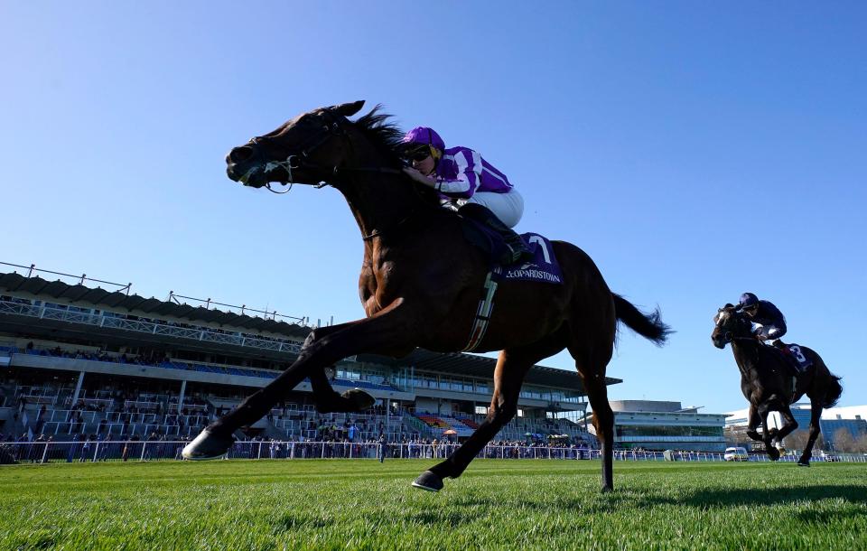 Horse and jockey winning a race at Leopardstown Racecourse.