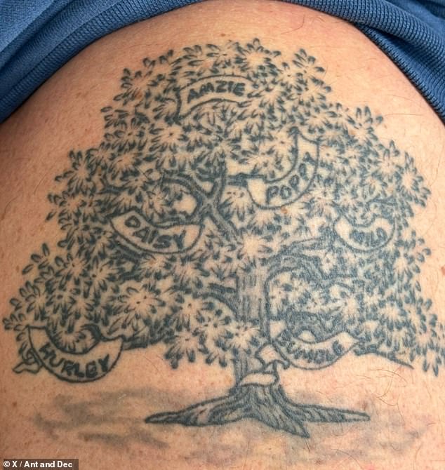The I'm A Celebrity host also has a heart with a circle and the letter 'A' inside and a family tree tattoo