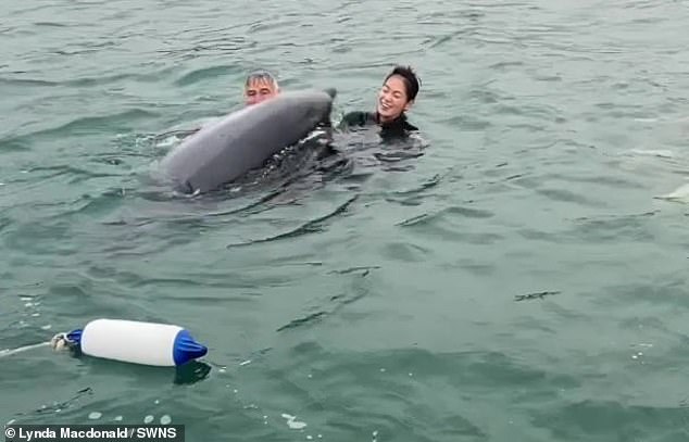 The bottlenose dolphin approached the family shortly after they entered the water for their 6am swim at Lyme Bay, Dorset on August 3
