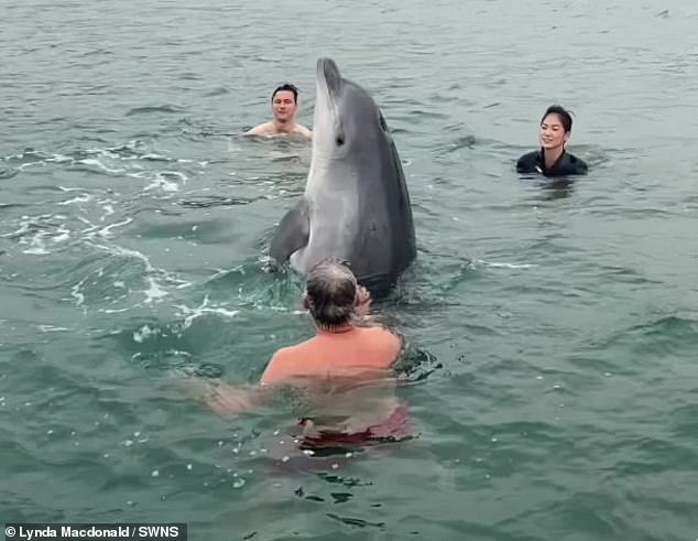 The playful dolphin appeared to dance in the water as it performed for its awestruck audience