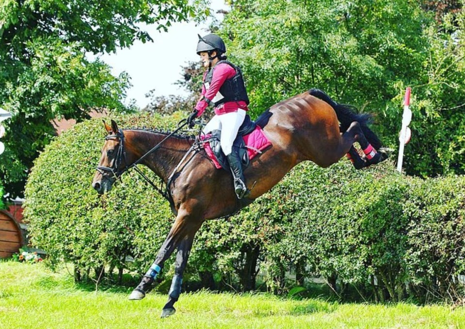 Rider jumping a horse over a hedge.