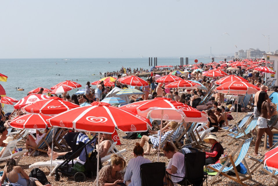 Crowded Brighton beach with many people under red umbrellas on a sunny day.