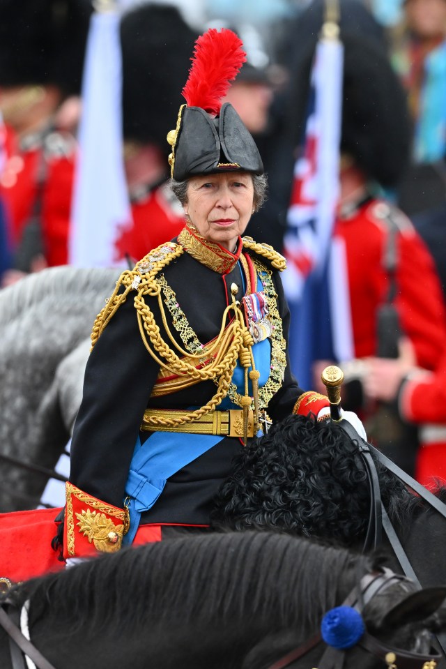 Princess Anne on horseback at King Charles III's coronation.