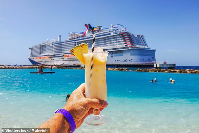 Of the Caribbean, Ally said: 'Everything kind of looks the same. It's just a bunch of beaches, which all look the same after a while'