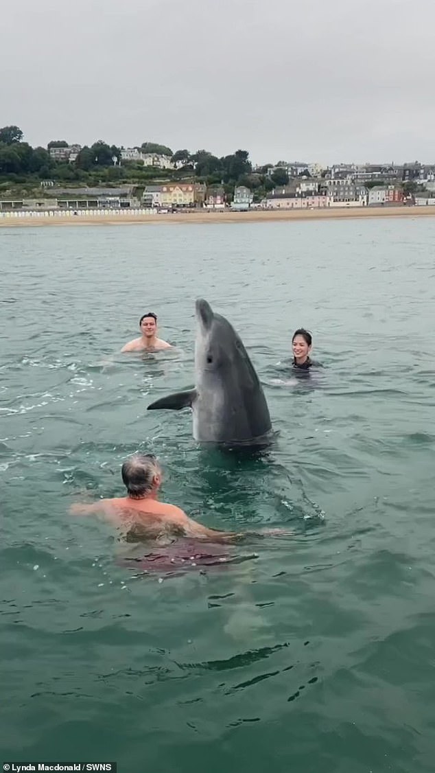 Reggie (as seen above in the earlier, wholesome footage) has now been accused of leaping on swimmers ¿ particularly women in wetsuits