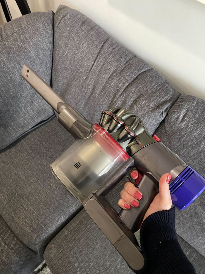 dyson-v8-animal-review