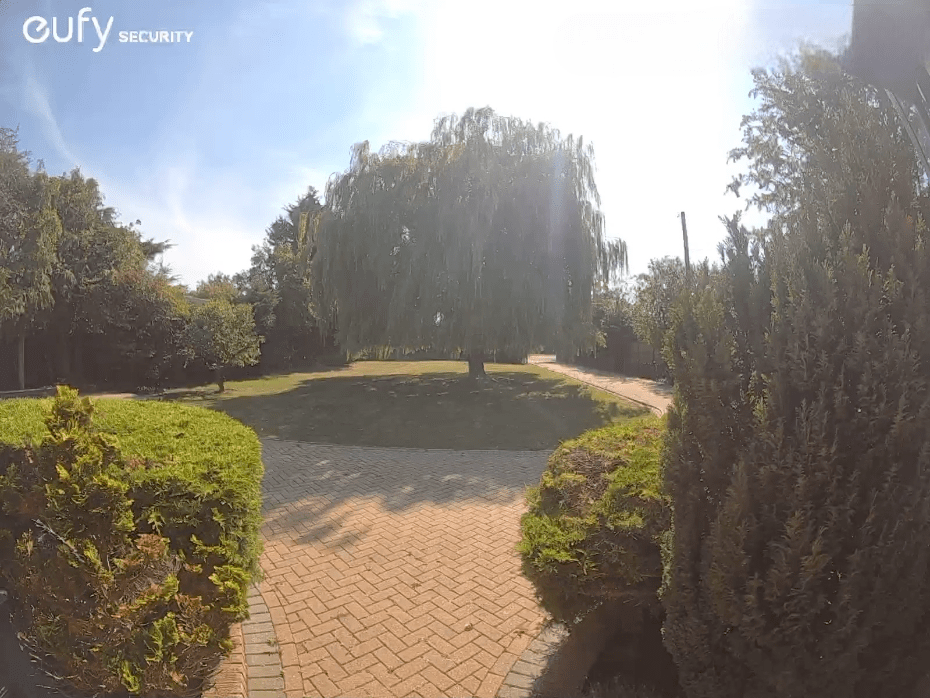 Security camera view of a brick driveway and lawn with a large weeping willow tree.