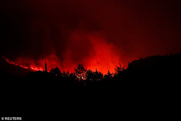 Trees burn during a dramatic wildfire near Narbonne, southern France on August 6