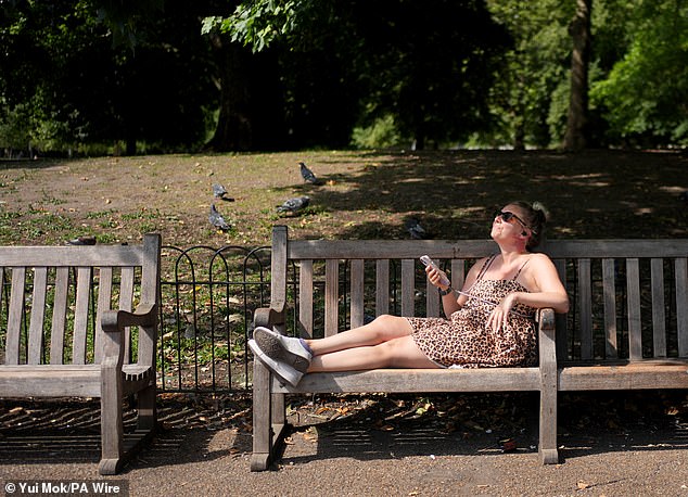 Some flat owners have said their homes are so hot they won't even turn on the oven and have resorted to eating rotisserie chicken and salad in parks and along the river bank (File image)