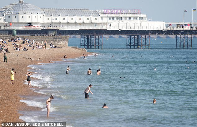 The predator posed as a taxi driver and offered free rides to women near nightclubs in Brighton, East Sussex and Surrey (Brighton seafront, file picture)