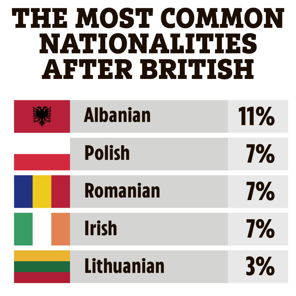 Illustration of the most common nationalities after British, showing percentages.