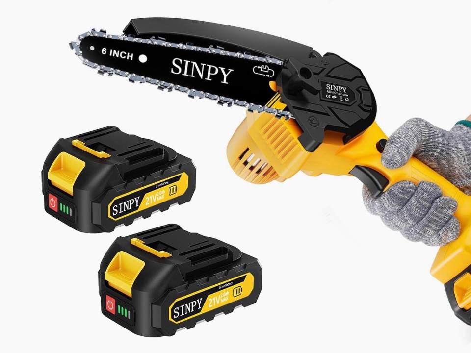 Cordless chainsaw with two batteries.