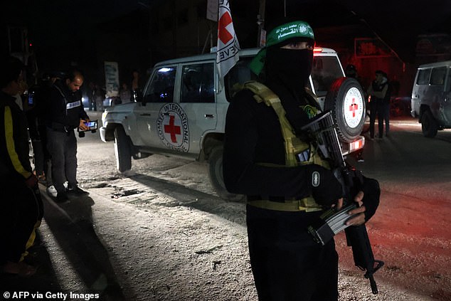 A Hamas fighter stands guard as a Red Cross vehicle transports newly released hostages in Rafah, in the southern Gaza Strip on November 28, 2023