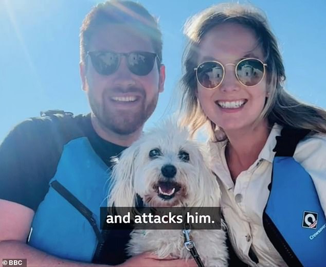 A heavily-pregnant woman was left traumatised after her beloved pet was mauled to death in front of her by an out of control dog. Charlotte Sipson (pictured right) was walking her Havanese dog, Max (centre), with a friend when the horror unfolded