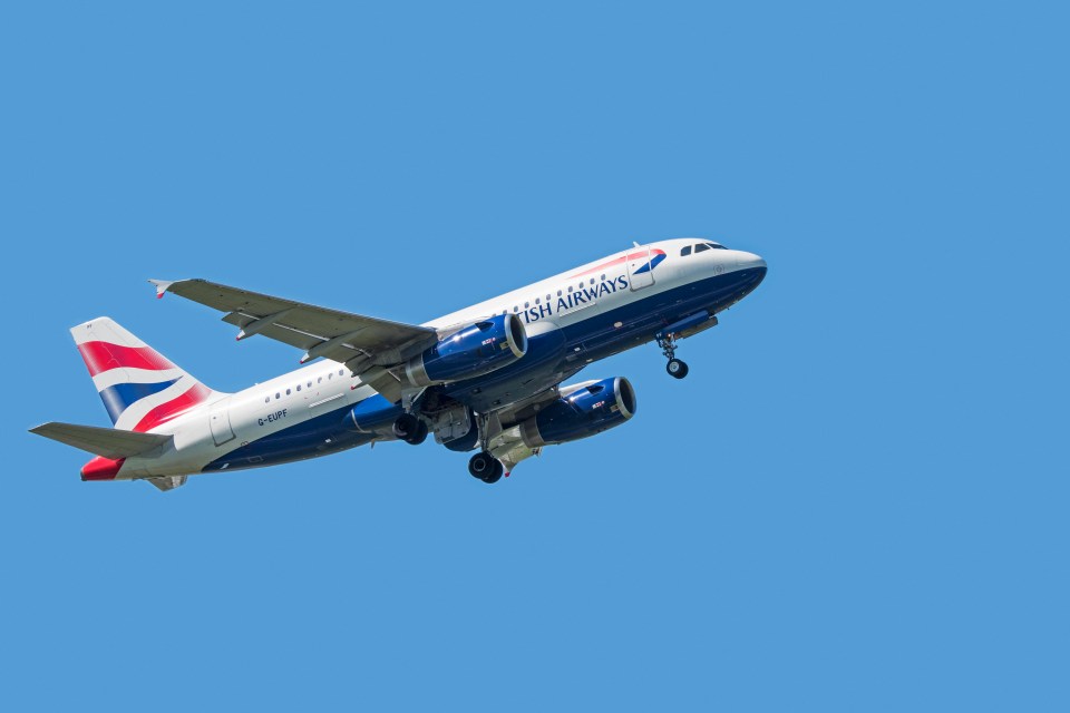 British Airways Airbus A319 in flight.