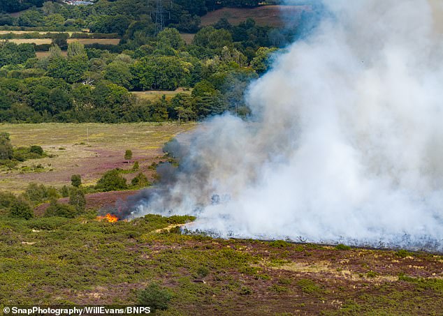 A major incident has been declared as about 100 firefighters are tackling a fire ripping through Holt Heath in Bournemouth