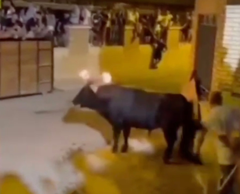 Bull with flaming torches on its horns knocks down a man and takes his bag.