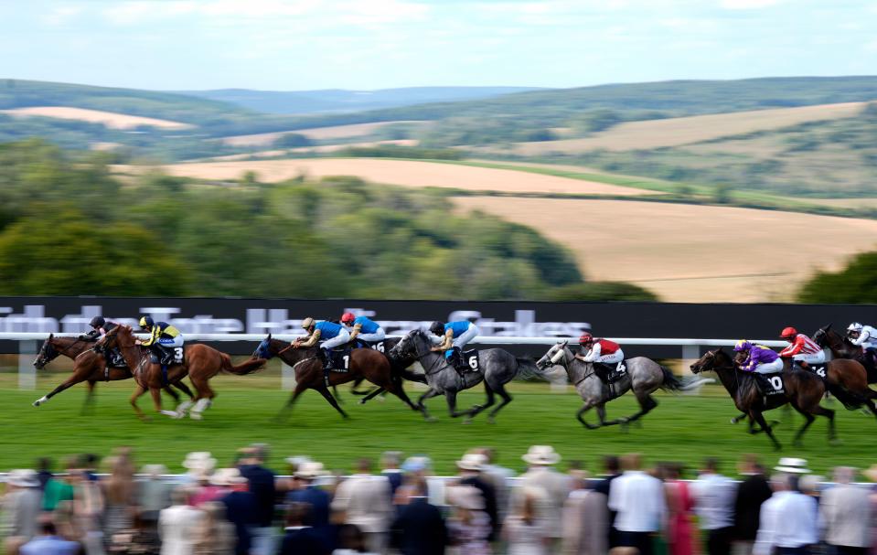 Horses racing at Goodwood Racecourse.