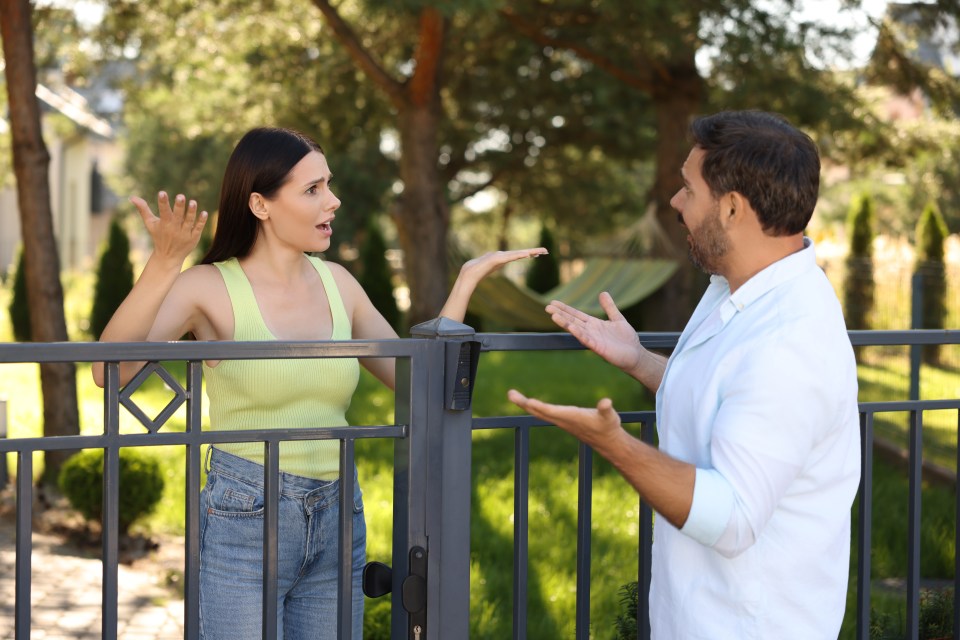 Neighbors arguing over a fence.
