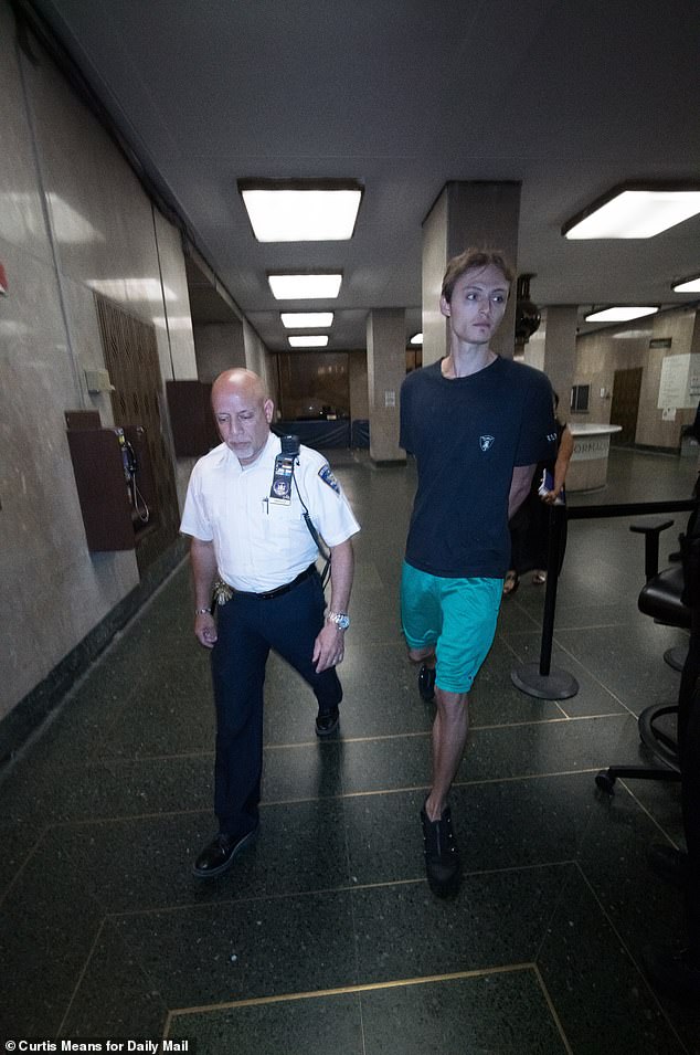 Mingus Lucien Reedus showcased his chiseled cheekbones as he left Manhattan Criminal Court on Saturday - hours after his arrest for allegedly attacking his unnamed ex-girlfriend