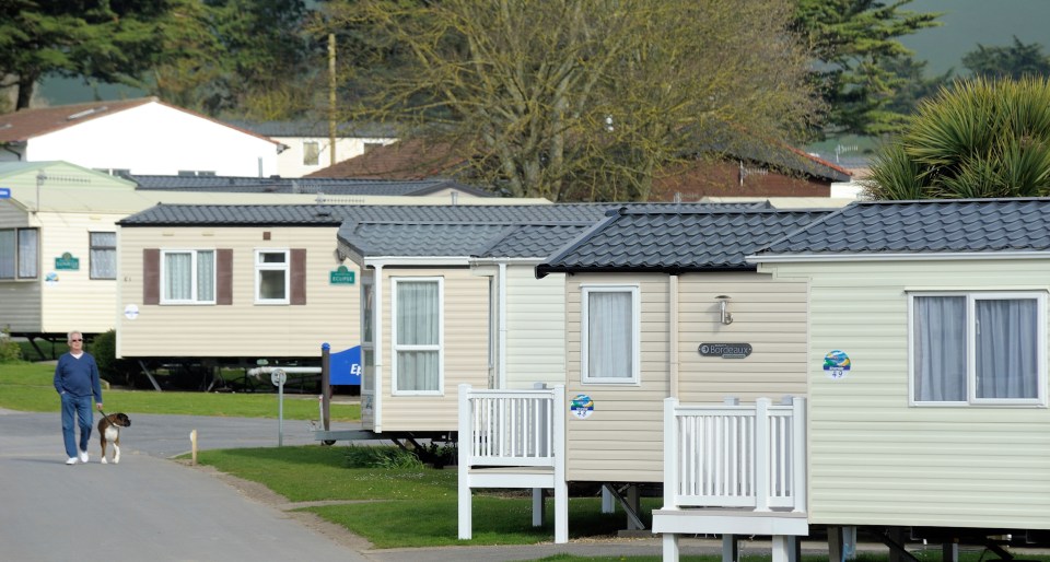 Man walking dog past caravans.