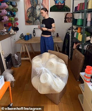 Last year, Emhoff (pictured) shared an organization video, showing large plastic bags filled with dozens of skeins of yarn