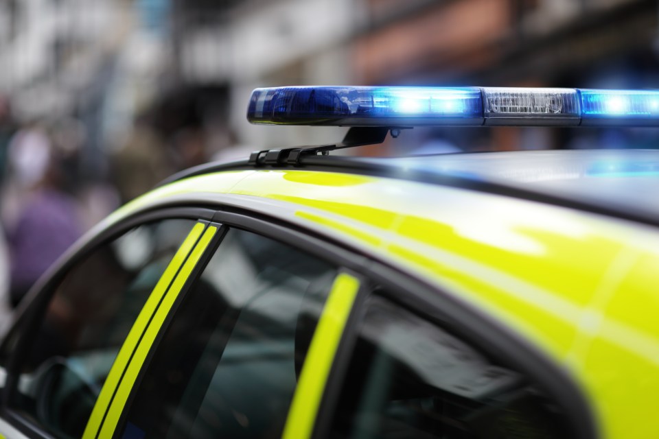 Close-up of a police car's flashing blue lights.