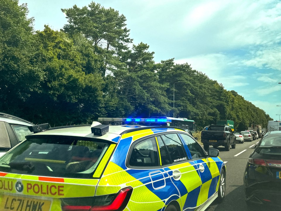 Police car driving on highway.