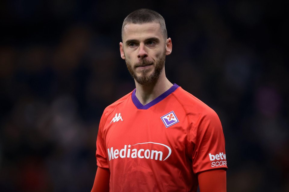 David De Gea of ACF Fiorentina during a Serie A match.