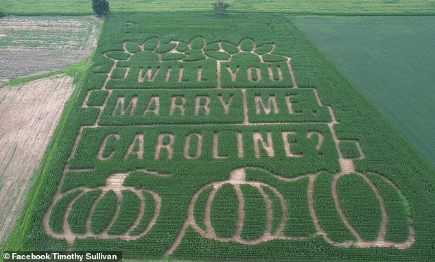 Tim Sullivan, 23, spent months planting a massive corn maze on an Ohio farm to spell out a marriage proposal for his girlfriend, meant to be seen from the skies during a helicopter flight (pictured)