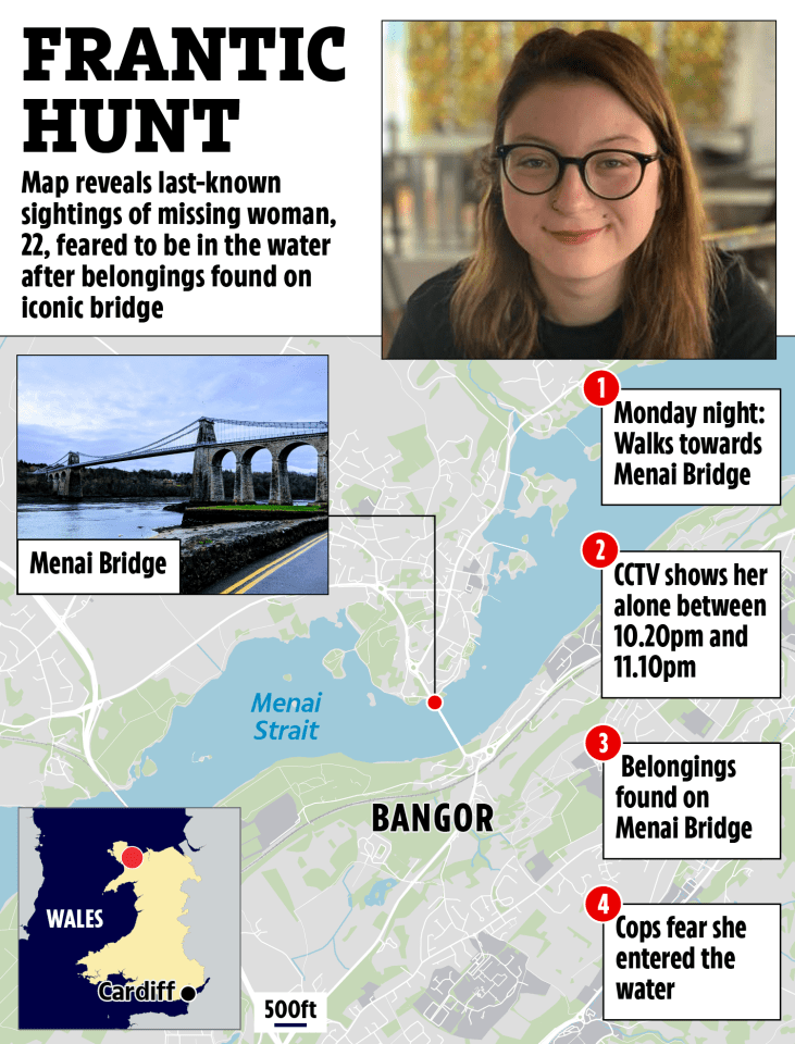 Illustration of a map showing the last known location of a missing woman near Menai Bridge, along with her photo and timeline of events.