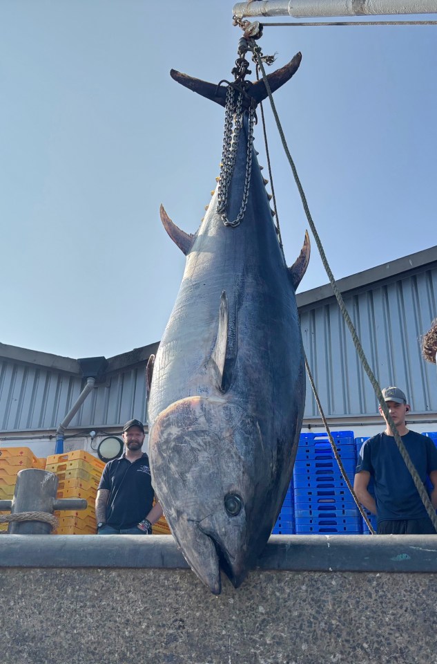 A father and son with a large bluefin tuna they caught.